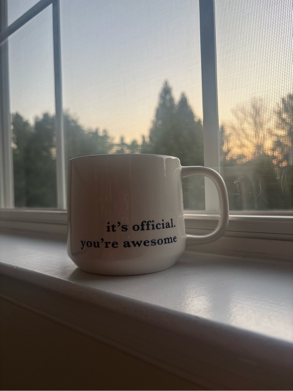 White Ceramic Mug with 'it's official. you're awesome' Print